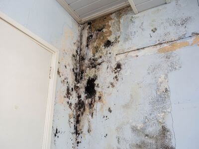 About EnviroForge - water damage restoration experts in Glendale