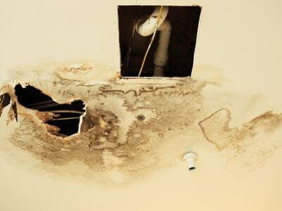 Professional water damage restoration services in Glendale - EnviroForge